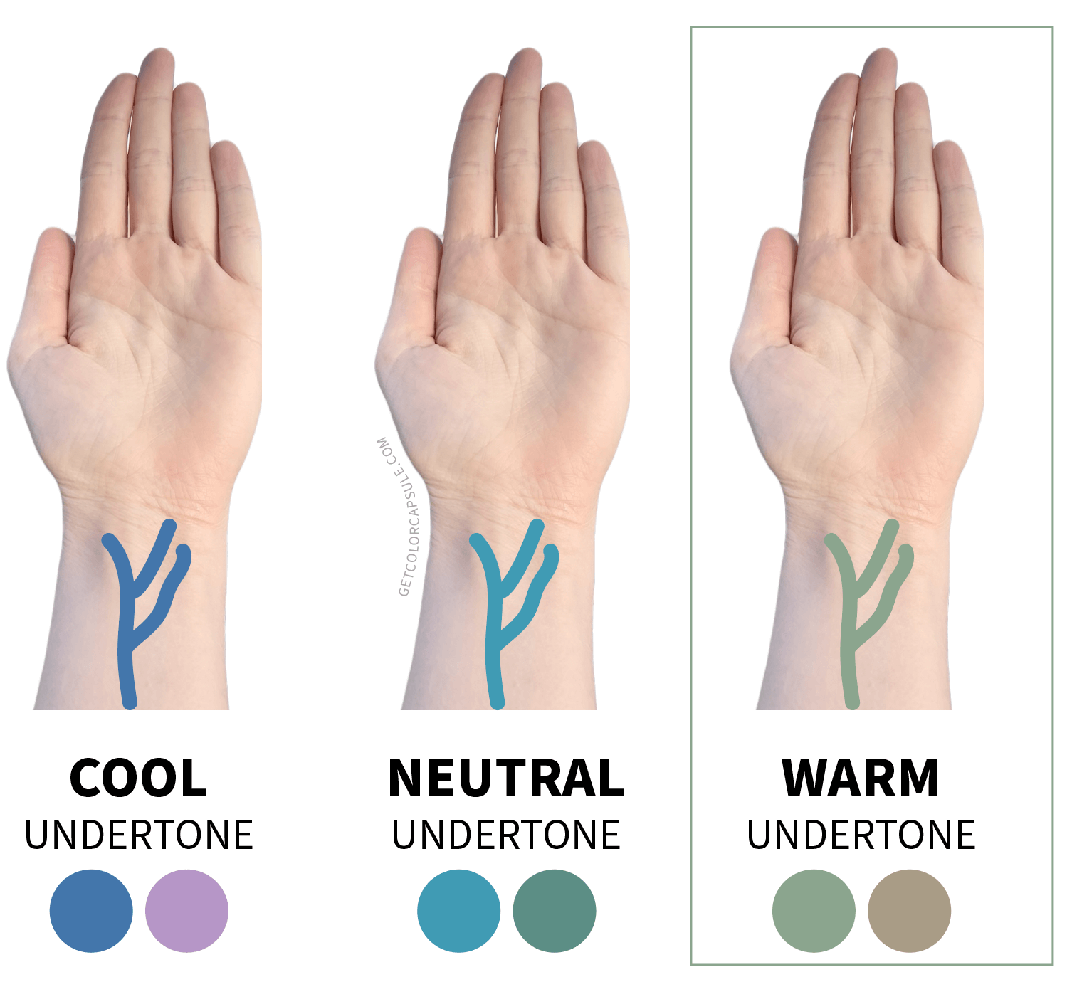 Skin undertone for spring season light spring warm undertone veine wrist
